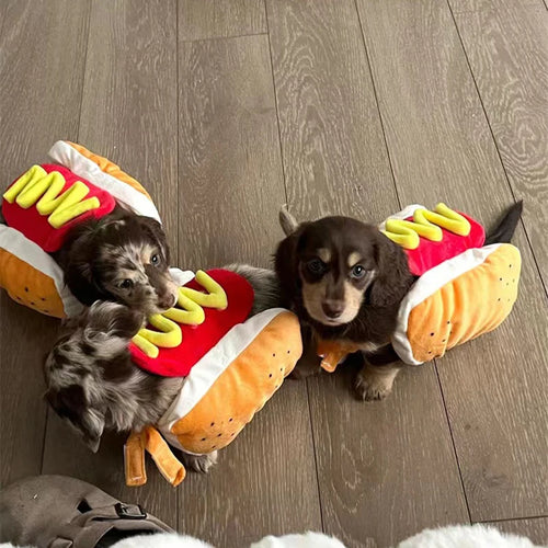Disfraz de perrito caliente