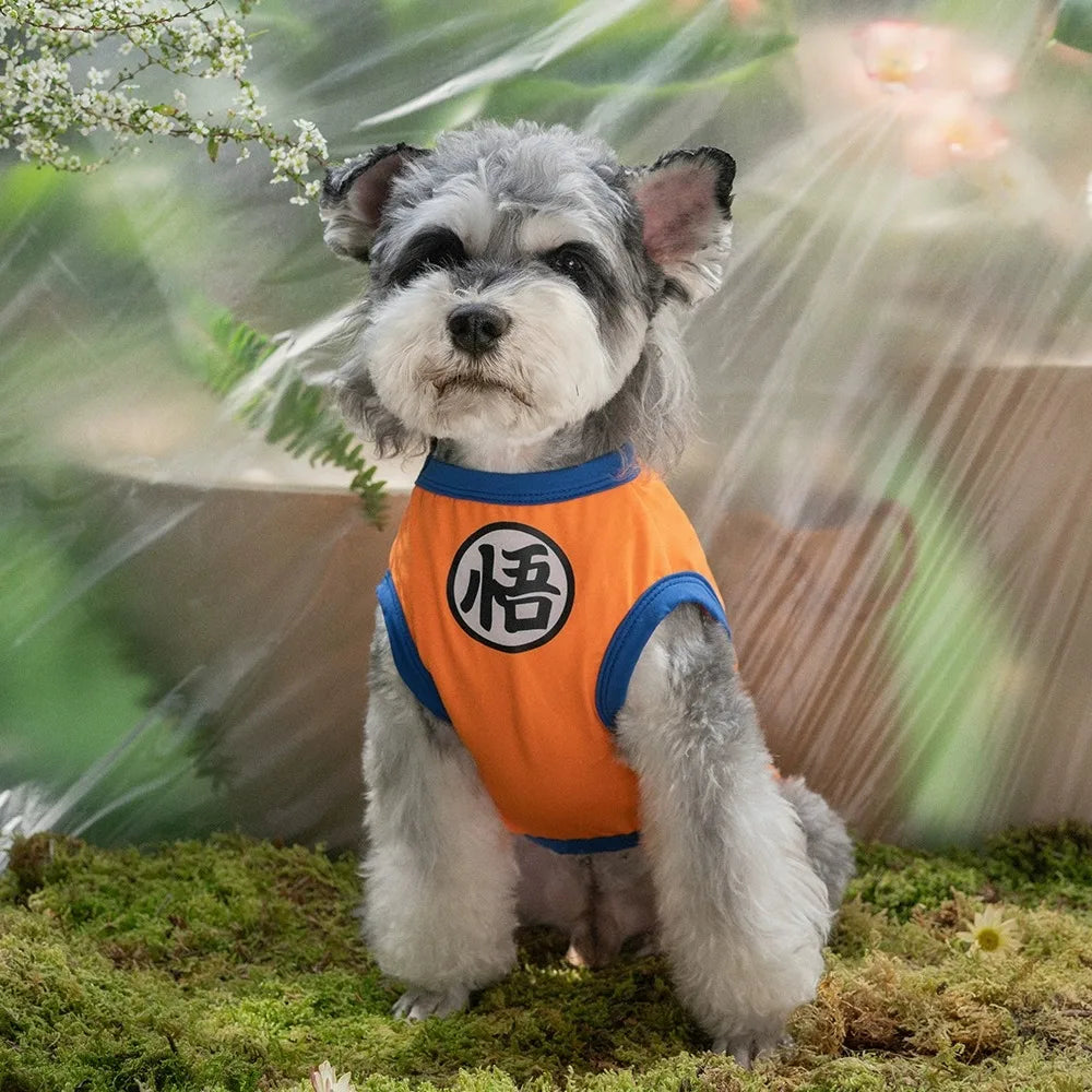 Disfraz de Goku