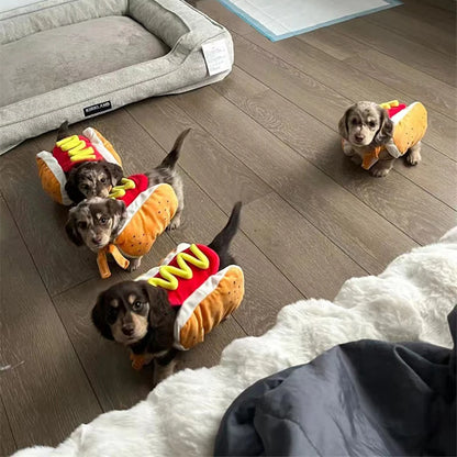 Disfraz de perrito caliente