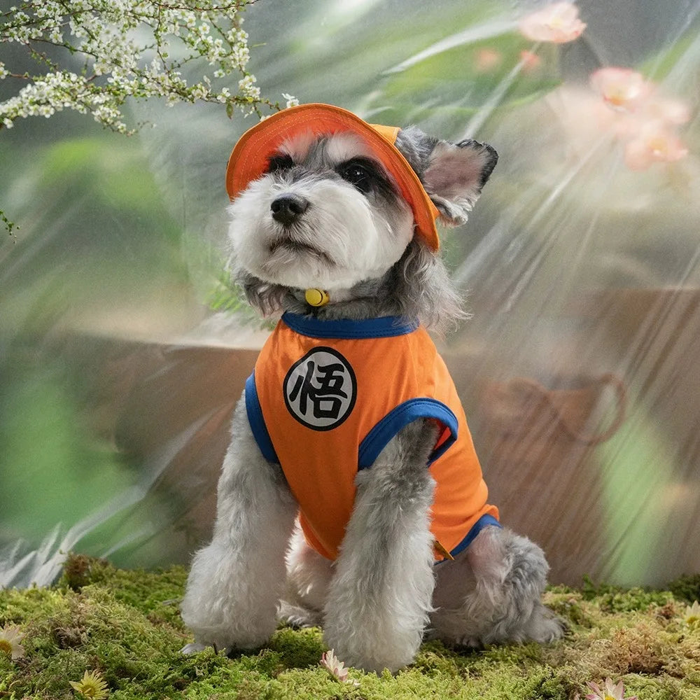 Disfraz de Goku