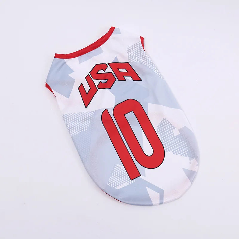 Camisa Estados Unidos