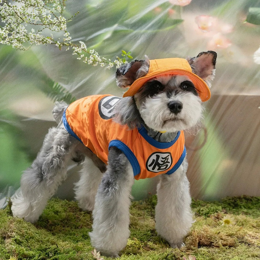 Disfraz de Goku