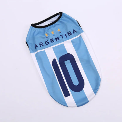 Camisa Argentina