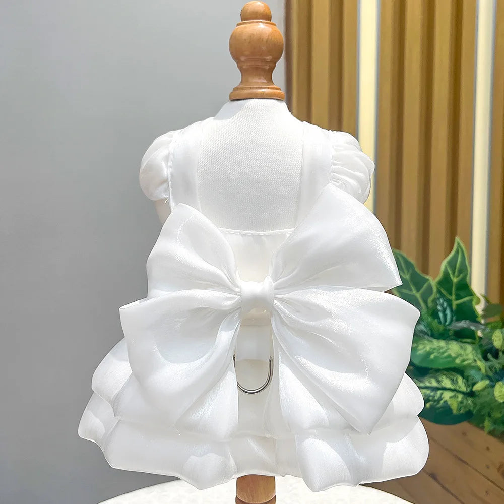 Traje de princesa