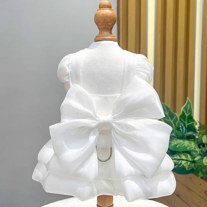 Traje de princesa