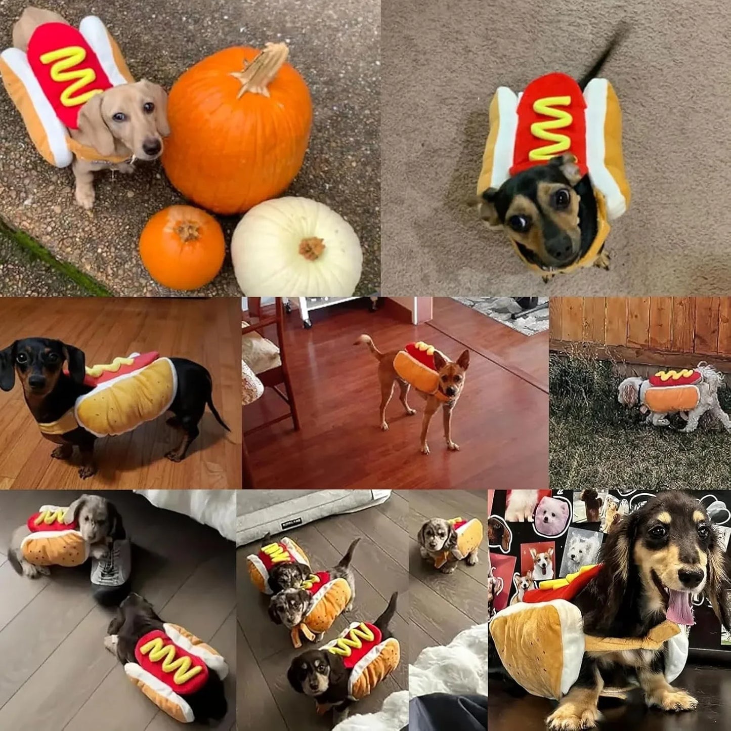 Disfraz de perrito caliente