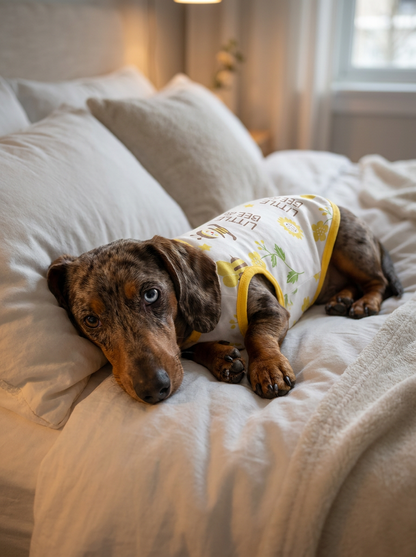 Pijama de abejas
