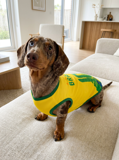 Camisa Brasil