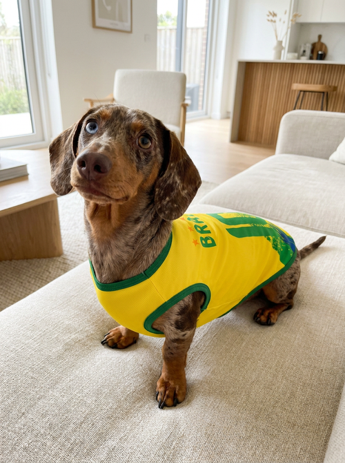 Camisa Brasil