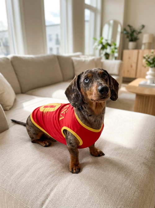 Camisa España