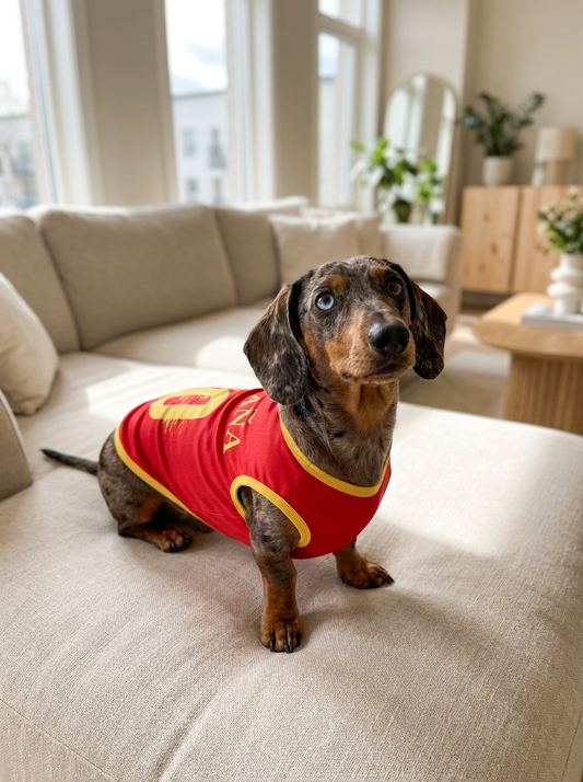 Camisa España