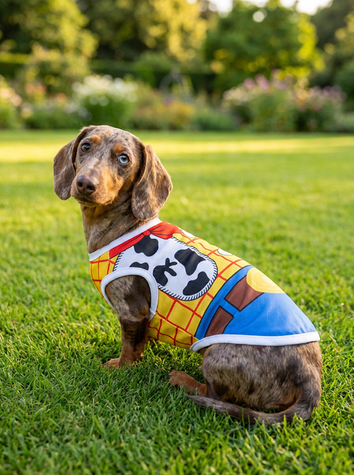 Traje de Woody (Toy Story)